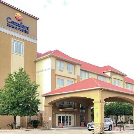 Comfort Inn & Suites Near Six Flags & Medical Center Σαν Αντόνιο Εξωτερικό φωτογραφία
