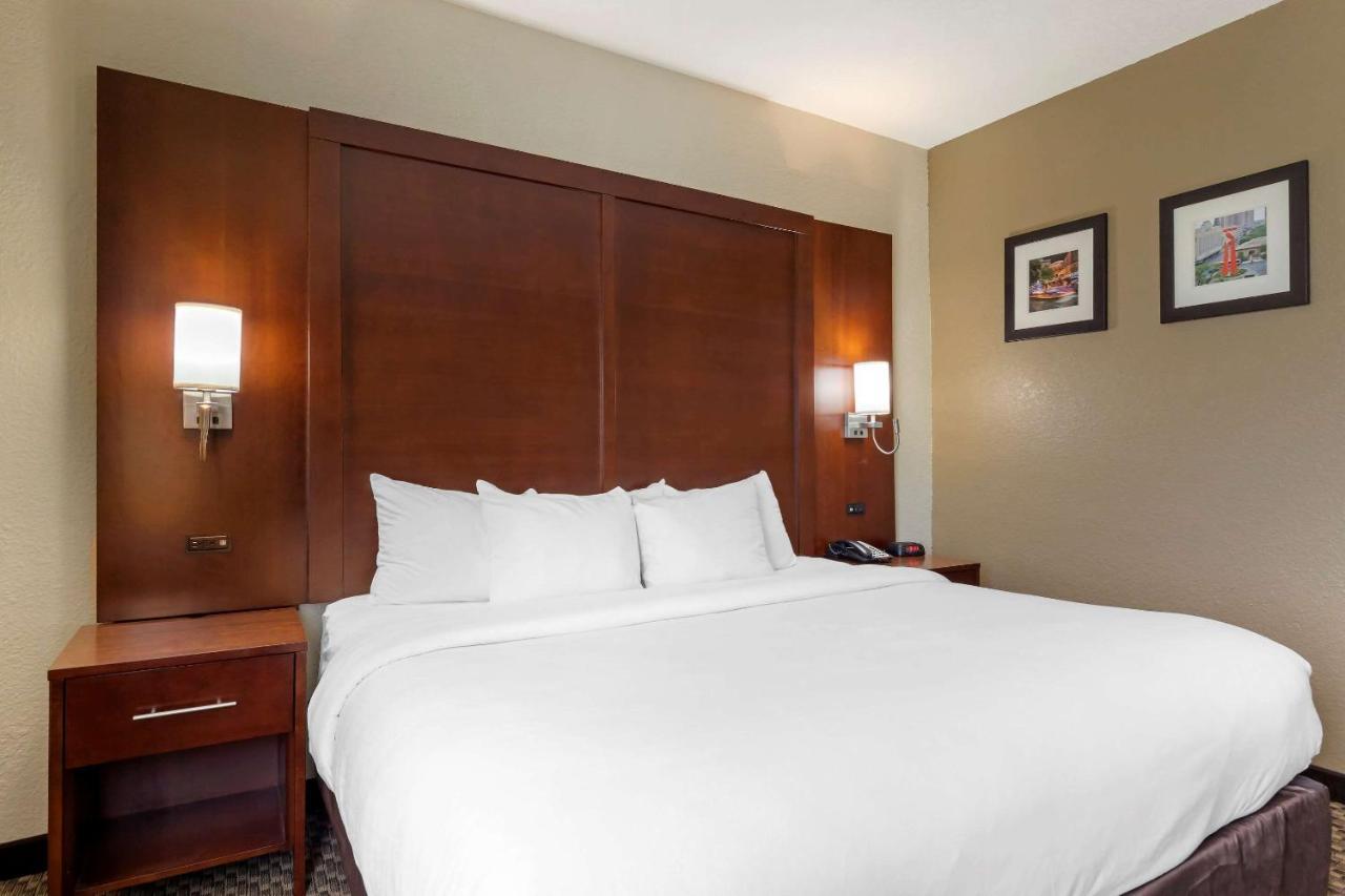 Comfort Inn & Suites Near Six Flags & Medical Center Σαν Αντόνιο Εξωτερικό φωτογραφία