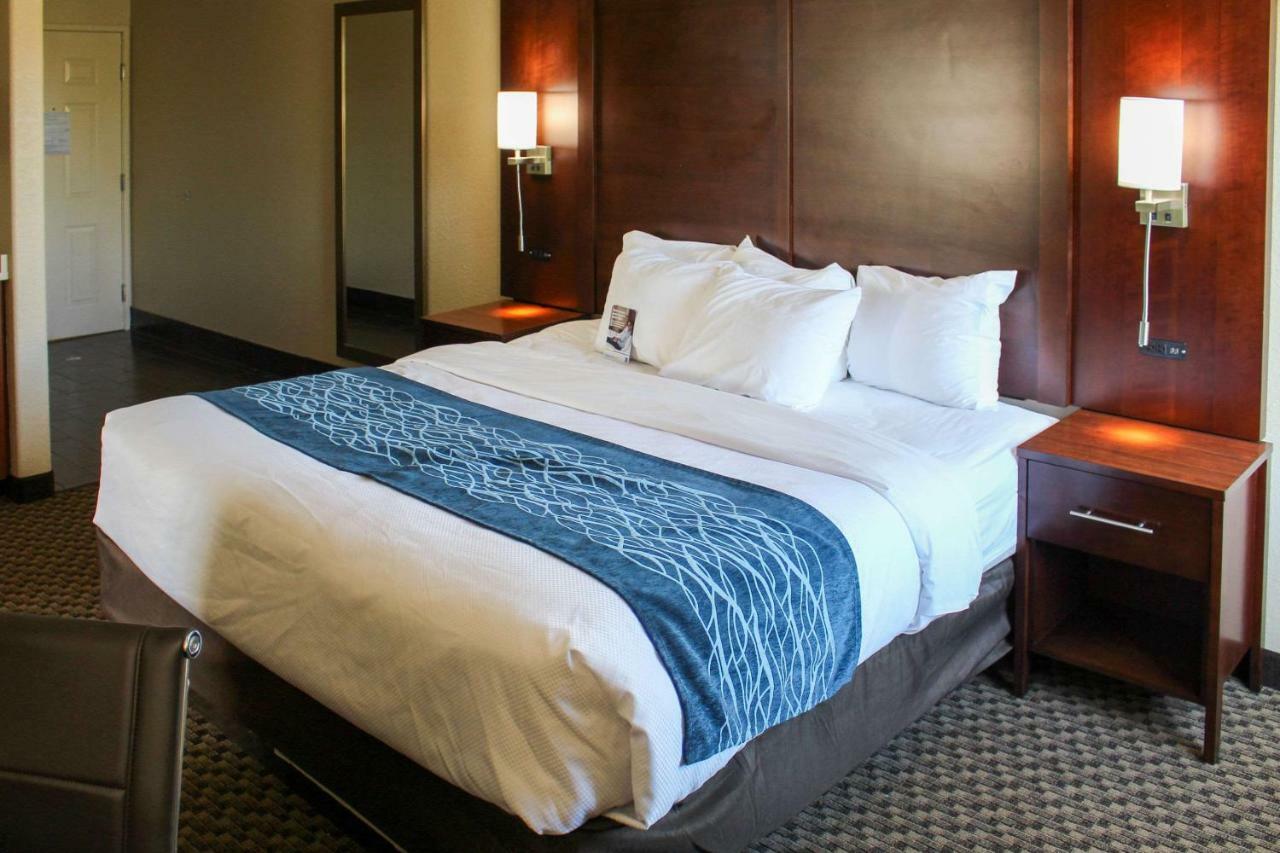 Comfort Inn & Suites Near Six Flags & Medical Center Σαν Αντόνιο Εξωτερικό φωτογραφία
