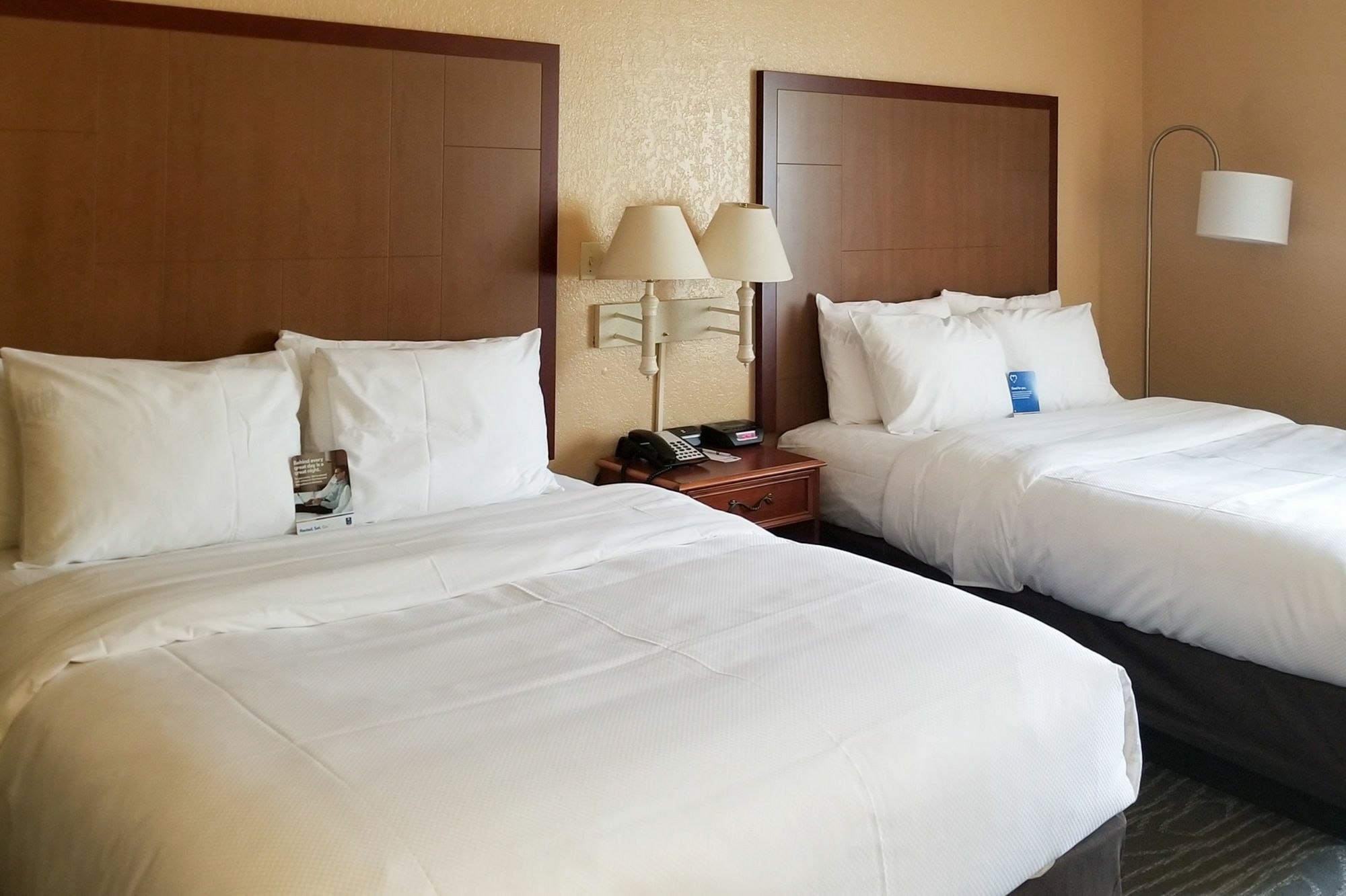 Comfort Inn & Suites Near Six Flags & Medical Center Σαν Αντόνιο Εξωτερικό φωτογραφία