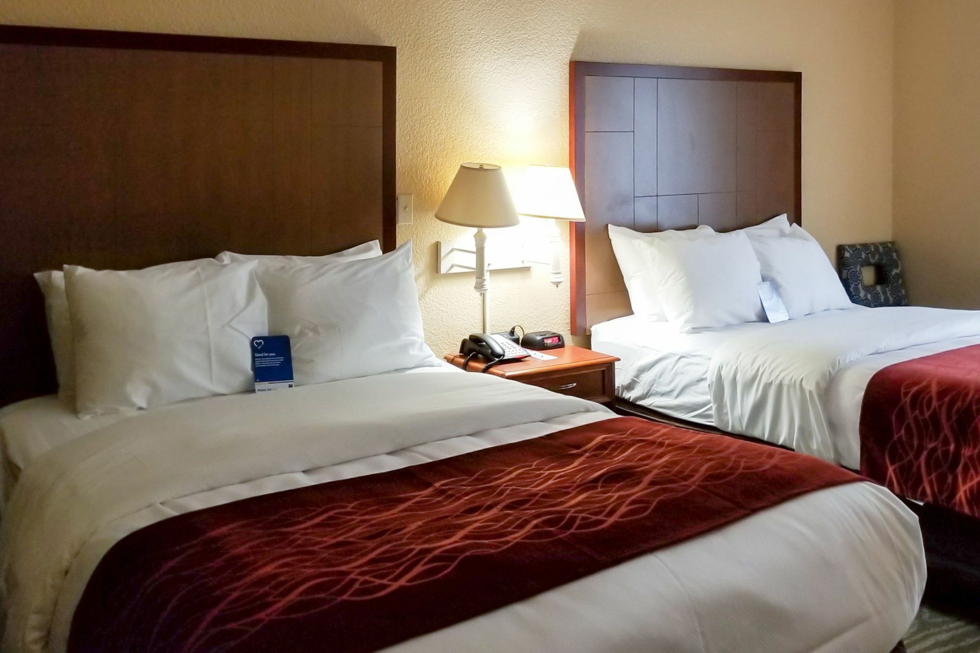 Comfort Inn & Suites Near Six Flags & Medical Center Σαν Αντόνιο Εξωτερικό φωτογραφία