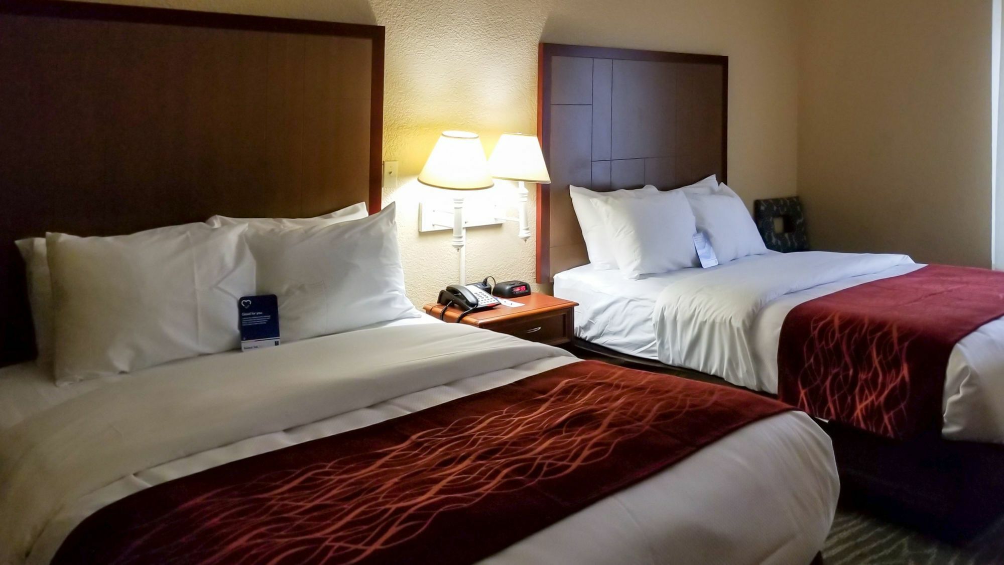 Comfort Inn & Suites Near Six Flags & Medical Center Σαν Αντόνιο Εξωτερικό φωτογραφία